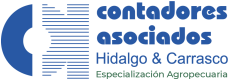 Contadores Asociados – Hidalgo & Carrasco